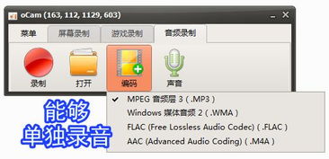 錄屏小將 ocam 全能錄屏、截圖與錄音的得力助手